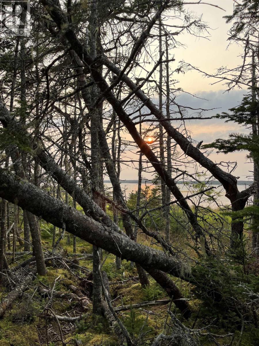 Property 28 of 50 of Lot B Sober Island Road