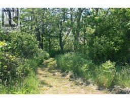 6349a Plank Road, Vienna, ON N0J1Z0 Photo 10