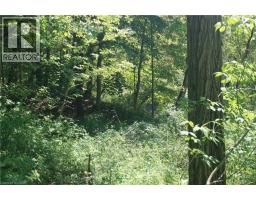 6349a Plank Road, Vienna, ON N0J1Z0 Photo 17