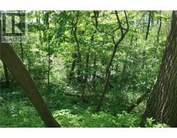 6349a Plank Road, Vienna, ON N0J1Z0 Photo 12
