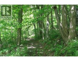 6349a Plank Road, Vienna, ON N0J1Z0 Photo 18