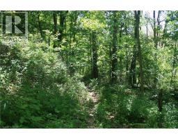 6349a Plank Road, Vienna, ON N0J1Z0 Photo 13