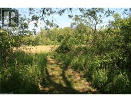 6349a Plank Road, Vienna, ON N0J1Z0 Photo 19