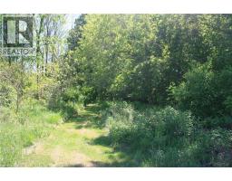 6349a Plank Road, Vienna, ON N0J1Z0 Photo 8