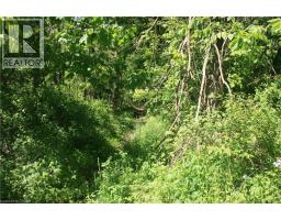 6349a Plank Road, Vienna, ON N0J1Z0 Photo 11