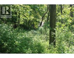 6349a Plank Road, Vienna, ON N0J1Z0 Photo 16