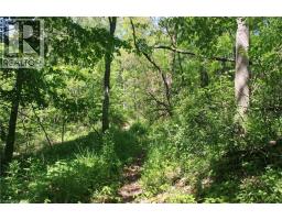 6349a Plank Road, Vienna, ON N0J1Z0 Photo 14