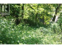 6349a Plank Road, Vienna, ON N0J1Z0 Photo 15