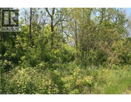 6349a Plank Road, Vienna, ON N0J1Z0 Photo 9