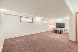 226 Mosselle Drive, Winnipeg, MB R2P1N6 Photo 29