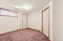 226 Mosselle Drive, Winnipeg, MB R2P1N6 Photo 31