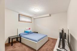 226 Mosselle Drive, Winnipeg, MB R2P1N6 Photo 32