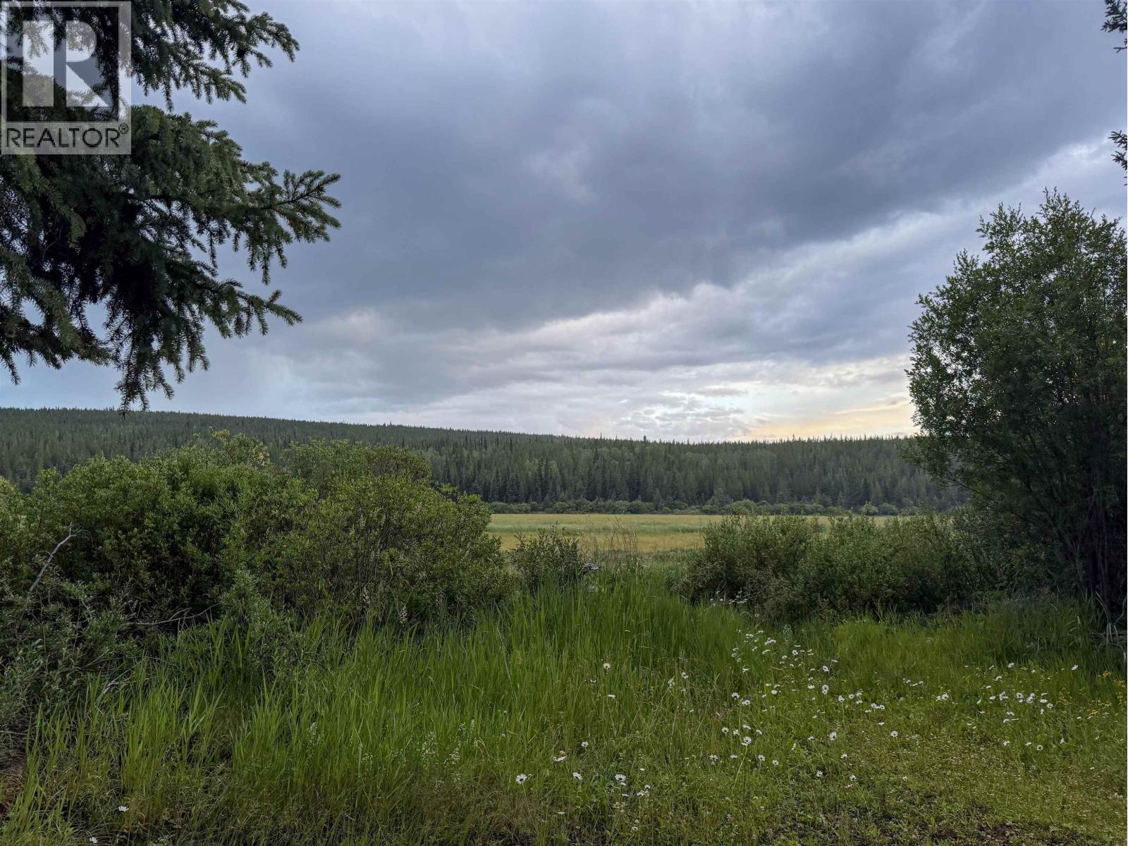 8351 TZENZAICUT LAKE FOREST SERVICE ROAD - Image 34