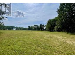 Lot 2025 Canaan Road, Morristown, NS B0P1C0 Photo 21