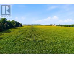 146 Jacob Street W, East Zorra Tavistock, ON N0B2R0 Photo 34