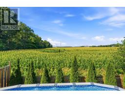 146 Jacob Street W, East Zorra Tavistock, ON N0B2R0 Photo 40