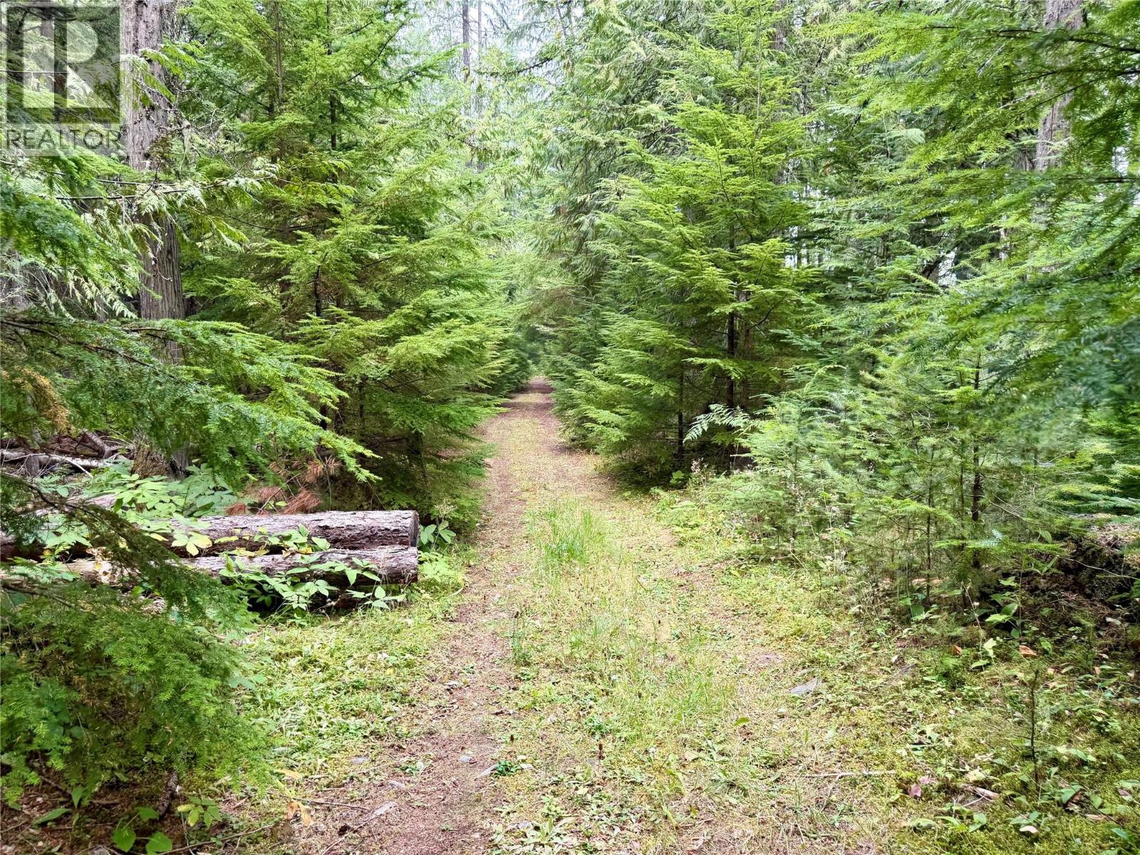 Harrop-Procter Road, Procter, British Columbia, V1L6R4, Procter, British Columbia — photo 4 of 5