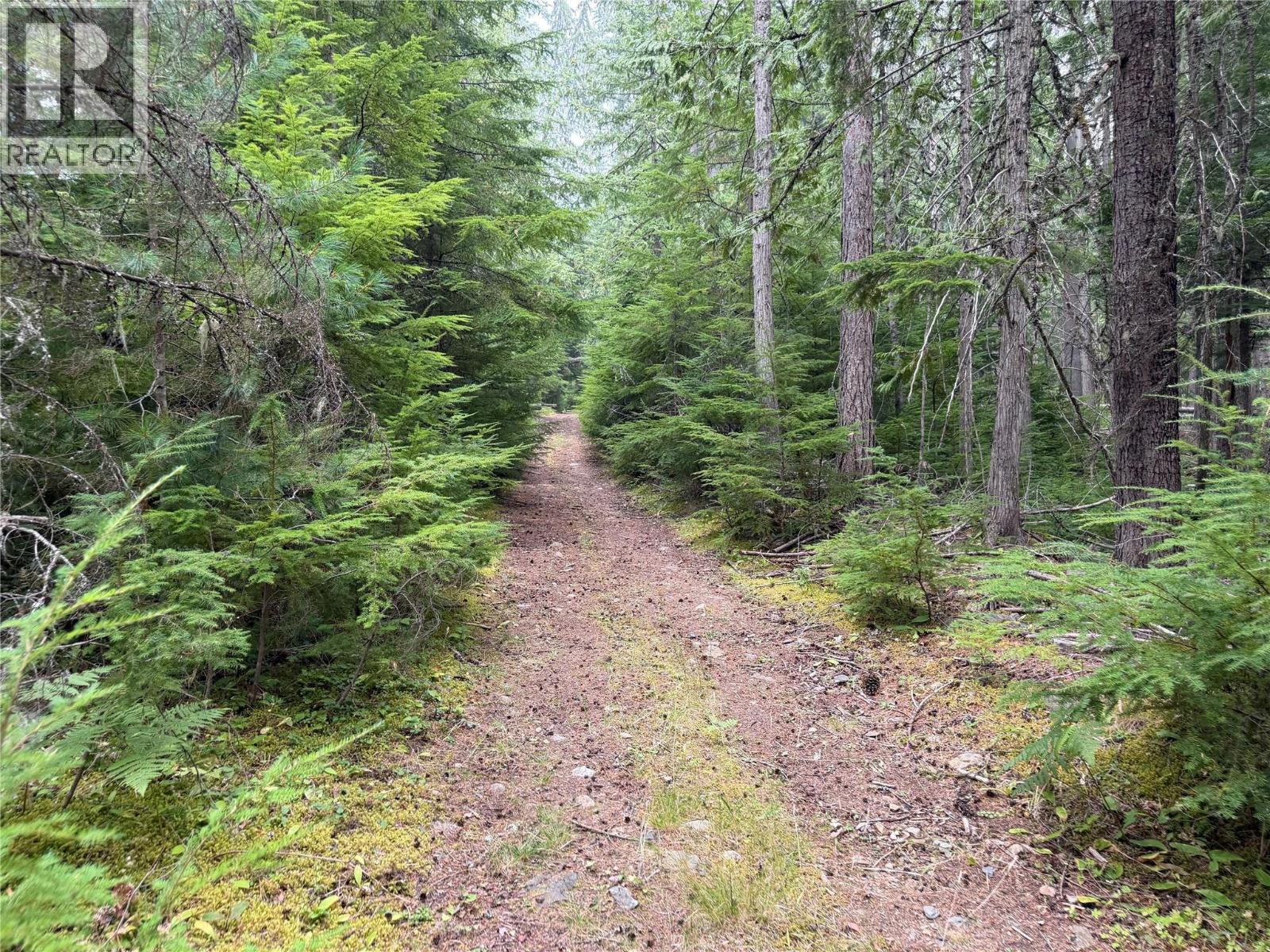 Harrop-Procter Road, Procter, British Columbia, V1L6R4, Procter, British Columbia — photo 5 of 5