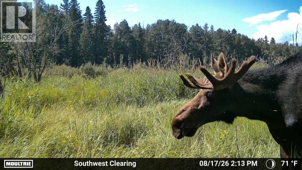 375012 Range Road 6-0 - Image 7