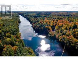22 - 1213 Camp Jackson Road, Muskoka Lakes, ON P0C1A0 Photo 41