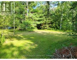 Lt 50 Cedar Grove Drive, Tiny, ON L0L2J0 Photo 9