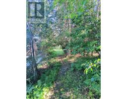 Con 7 Highway 567 Highway, Timiskaming, ON P0J1K0 Photo 21