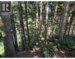 929 Princess Victoria View, Tahsis, BC V0P1X0 Photo 33