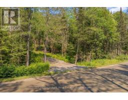 1630 Midlothian Road, Ryerson, ON P0A1C0 Photo 18