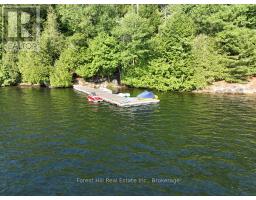 10689 Kawagama Lake Wao, Algonquin Highlands, ON P0A1E0 Photo 15