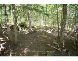 10689 Kawagama Lake Wao, Algonquin Highlands, ON P0A1E0 Photo 24
