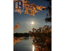 10689 Kawagama Lake Wao, Algonquin Highlands, ON P0A1E0 Photo 25