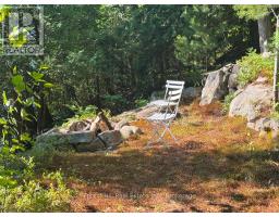 10689 Kawagama Lake Wao, Algonquin Highlands, ON P0A1E0 Photo 39