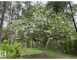 54046 Rge Road 213, Rural Strathcona County, AB T8G2A1 Photo 40