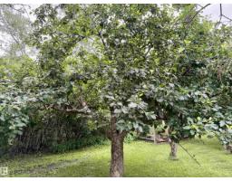 54046 Rge Road 213, Rural Strathcona County, AB T8G2A1 Photo 49