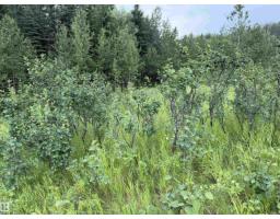 54046 Rge Road 213, Rural Strathcona County, AB T8G2A1 Photo 53