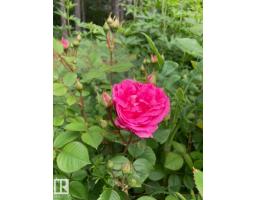 54046 Rge Road 213, Rural Strathcona County, AB T8G2A1 Photo 73