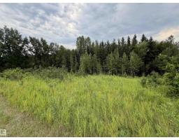 54046 Rge Road 213, Rural Strathcona County, AB T8G2A1 Photo 54