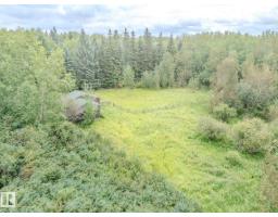 54046 Rge Road 213, Rural Strathcona County, AB T8G2A1 Photo 70