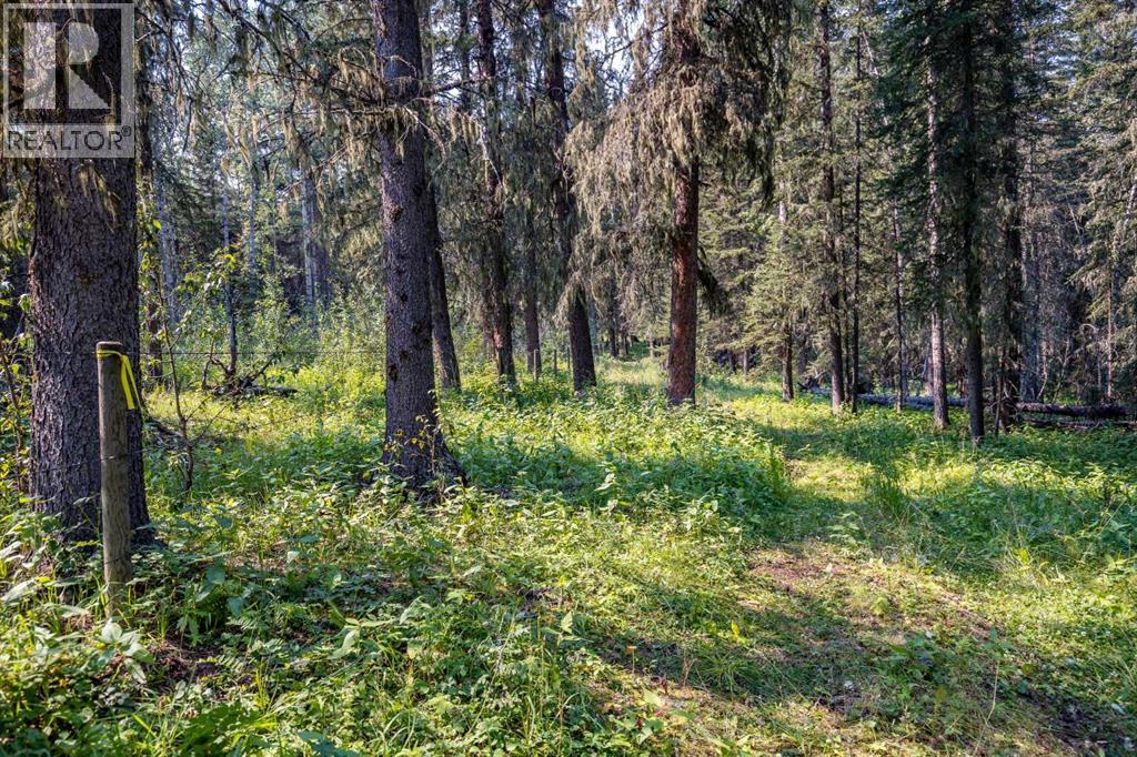 264033 Range Road 71 - Image 13