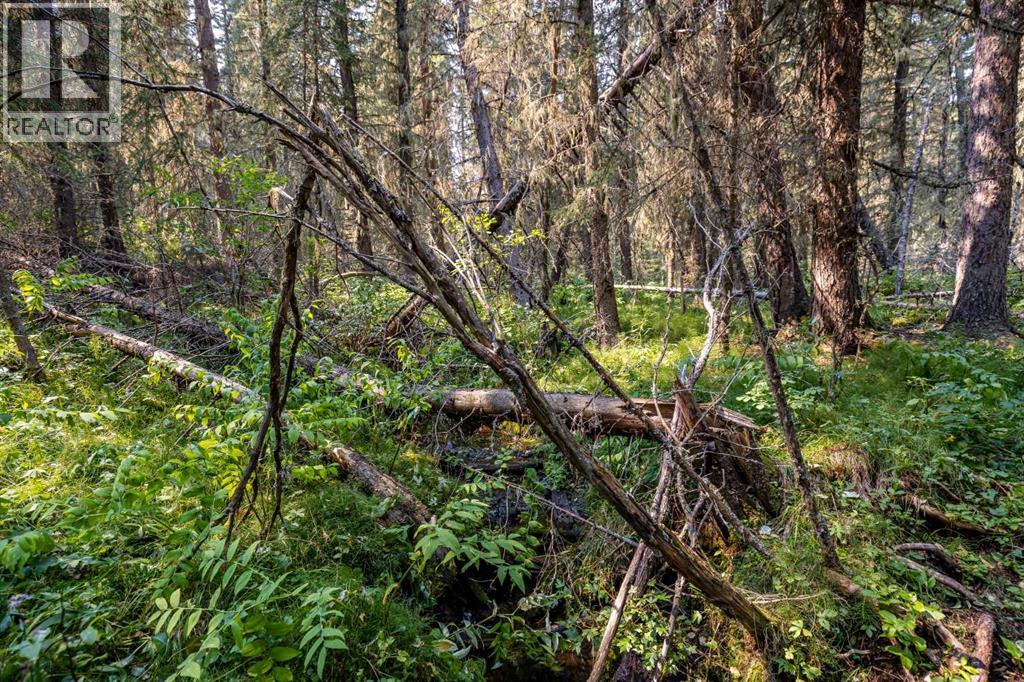264033 Range Road 71 - Image 9