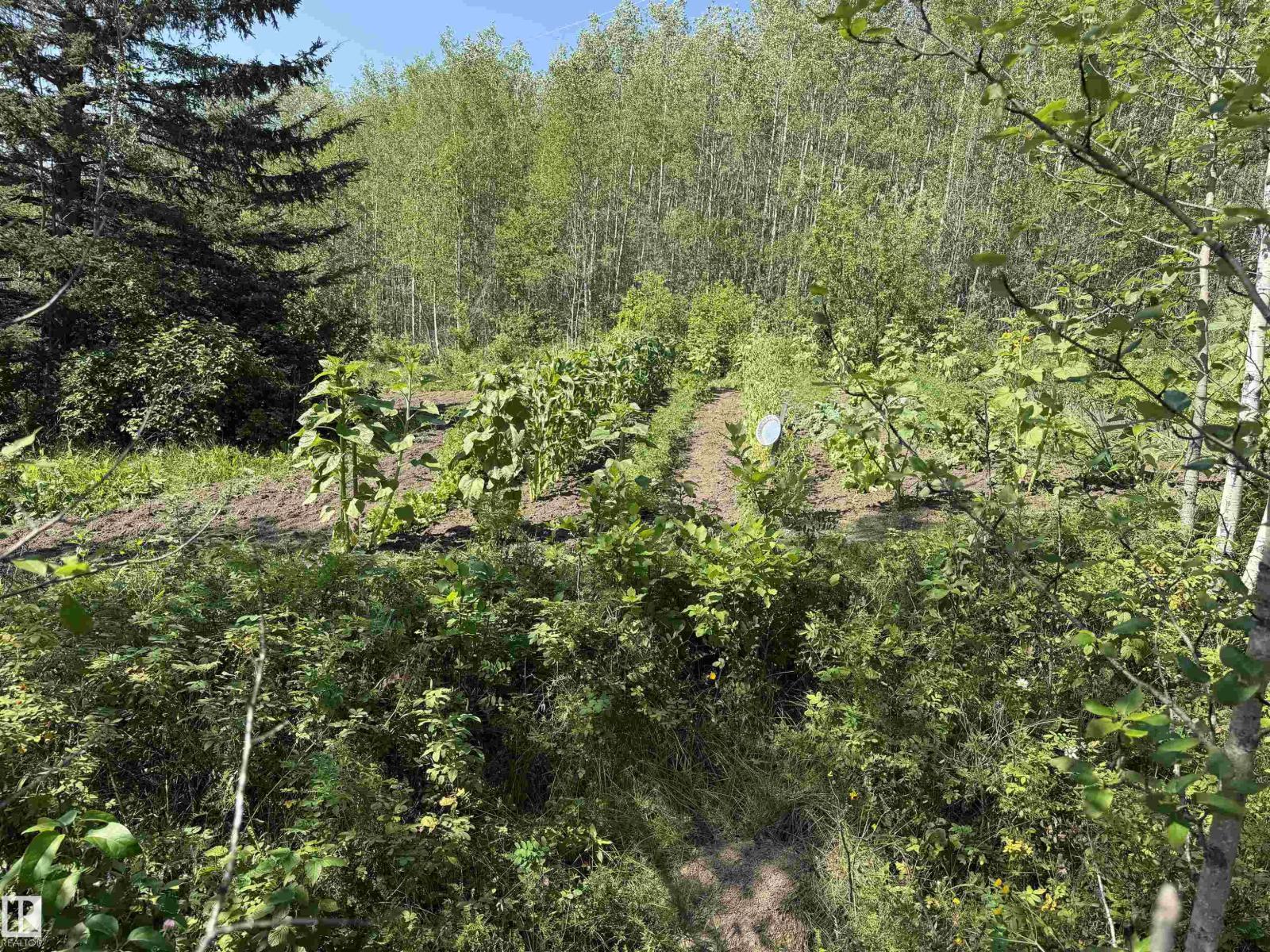 22080 TWP ROAD 463A - 19