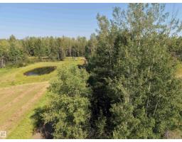 8118 Hwy 620, Rural Brazeau County, AB T7A2A1 Photo 28