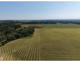 8118 Hwy 620, Rural Brazeau County, AB T7A2A1 Photo 29