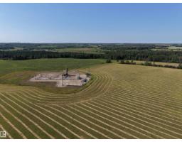 8118 Hwy 620, Rural Brazeau County, AB T7A2A1 Photo 40
