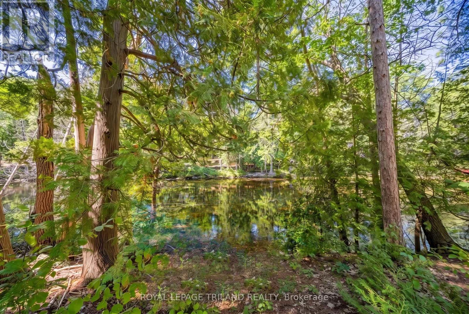 9958 RIVERVIEW ROAD - Image 6