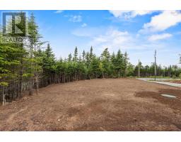 1062 Mines Road, West Petpeswick, NS B0J2L0 Photo 38
