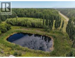 22048 Township Road 720, Valleyview, AB T0H3N0 Photo 43