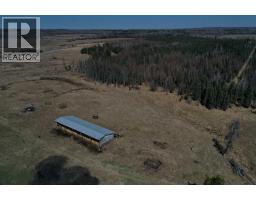 8118 Highway 620, Rural Brazeau County, AB T7A2A1 Photo 27