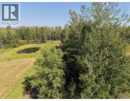8118 Highway 620, Rural Brazeau County, AB T7A2A1 Photo 22