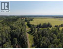 8118 Highway 620, Rural Brazeau County, AB T7A2A1 Photo 24